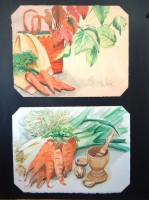Des carottes 38 x 30 chaque